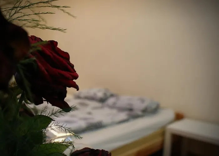 بيت شباب Krakowskie Klimaty كراكوفيا